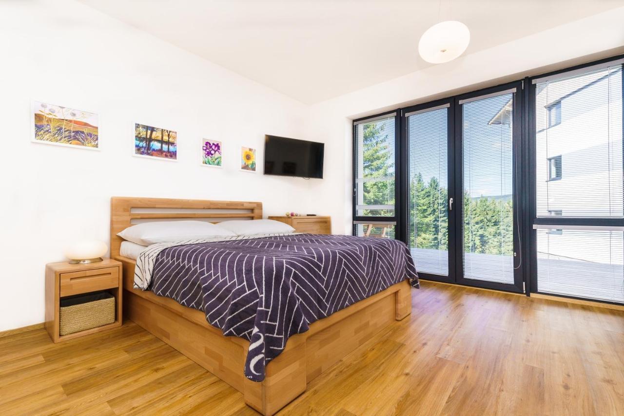 Loučná pod Klínovcem Horsky Apartman Temari 6 Klinovec מראה חיצוני תמונה